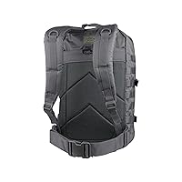 Amazon.com : Mil-Tec Unisex Assault Pack - Rugged Durable